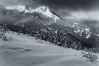 Pine Hollow Freee Fest 2-20190178bw.jpg