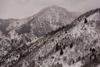 Pine Hollow Freee Fest 2-20190010-sm copy.jpg