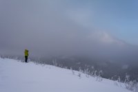 Pine Hollow Freee Fest 2-20190131-sm.jpg