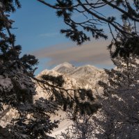 Pine Hollow Freee Fest 2-20190351_1.jpg