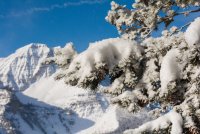 Pine Hollow Freee Fest 2-20190361-sm.jpg