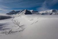 Pine Hollow Freee Fest 2-20190493-sm.jpg