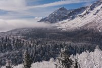 Pine Hollow Freee Fest 2-20190509-sm.jpg