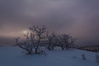 Pine Hollow Freee Fest 2-20190234-nr-sm.jpg