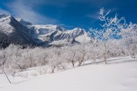 Pine Hollow Freee Fest 2-20190531-sm.jpg