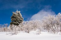 Pine Hollow Freee Fest 2-20190537-sm.jpg