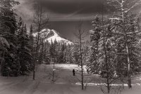 Pine Hollow Freee Fest 2-20190567-bw-sm.jpg