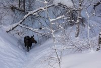 Pine Hollow Freee Fest 2-20190589-sm.jpg