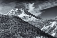 Pine Hollow Freee Fest 2-20190602-bw_1.jpg