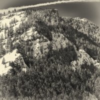 Pine Hollow Freee Fest 2-20190606-bw.jpg