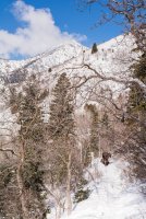 Pine Hollow Freee Fest 2-20190612-sm_1.jpg