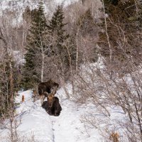 Pine Hollow Freee Fest 2-20190621_1.jpg