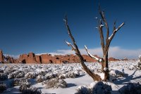 16 Arches National Park.jpg