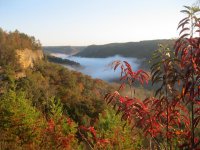 14642267_10211216372834782_2878916511236208860_n.jpg 14642267_10211216372834782_2878916511236208860_n.jpg