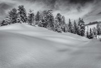 Norway Flats 3-20190133-bw.jpg