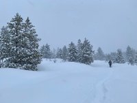 IMG_6302.JPG IMG_6302.JPG