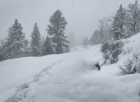 Norway Flats 3-20190003-bw.jpg Norway Flats 3-20190003-bw.jpg