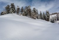 Norway Flats 3-20190133-proc.jpg Norway Flats 3-20190133-proc.jpg