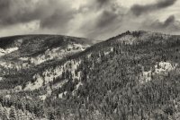 Norway Flats 3-20190142-bw.jpg Norway Flats 3-20190142-bw.jpg