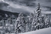 Norway Flats 3-20190154-bw.jpg Norway Flats 3-20190154-bw.jpg