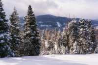 Norway Flats 3-20190169-recipe.jpg Norway Flats 3-20190169-recipe.jpg