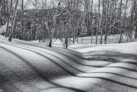 Norway Flats 3-20190193-bw.jpg Norway Flats 3-20190193-bw.jpg