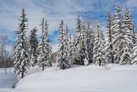 Norway Flats 3-20190196-sm.jpg Norway Flats 3-20190196-sm.jpg