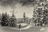 Norway Flats 3-20190219-bw.jpg Norway Flats 3-20190219-bw.jpg