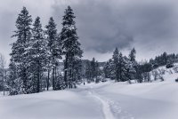 Norway Flats 3-20190232-bw.jpg Norway Flats 3-20190232-bw.jpg