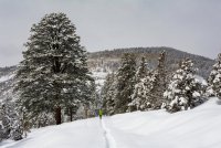 Norway Flats 3-20190235-proc.jpg Norway Flats 3-20190235-proc.jpg