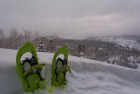 Norway Flats 3-20190072-sm.jpg Norway Flats 3-20190072-sm.jpg