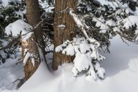 Norway Flats 3-20190104-sm.jpg Norway Flats 3-20190104-sm.jpg