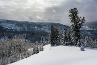 Norway Flats 3-20190146-proc.jpg Norway Flats 3-20190146-proc.jpg