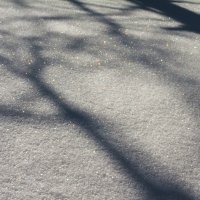 Snowshoeing With Ade0032-sq.jpg