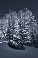Snowshoeing With Ade0102-sm-bw.jpg