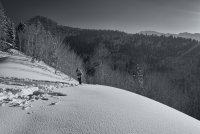 Snowshoeing With Ade0111-sm-bw.jpg