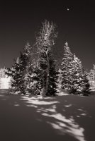 Snowshoeing With Ade0197-sm-bw.jpg