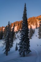 Snowshoeing With Ade0224-sm.jpg