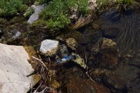 DSC09492.jpg DSC09492.jpg