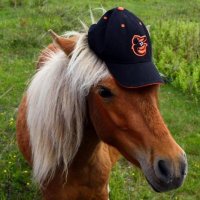 DSC_3913.jpg DSC_3913.jpg