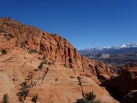 DSC00247.jpg DSC00247.jpg