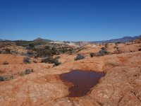 DSC00258.jpg DSC00258.jpg