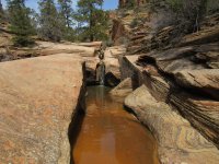 IMG_0215.JPG IMG_0215.JPG