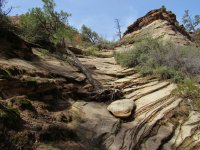 IMG_0220.JPG IMG_0220.JPG