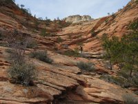 IMG_0222.JPG IMG_0222.JPG