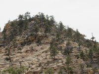 IMG_0234.JPG IMG_0234.JPG