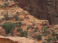 IMG_0242.JPG IMG_0242.JPG