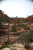 DSC_0001.JPG DSC_0001.JPG