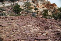 DSC_1074.JPG DSC_1074.JPG