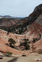 DSC_1077.JPG DSC_1077.JPG